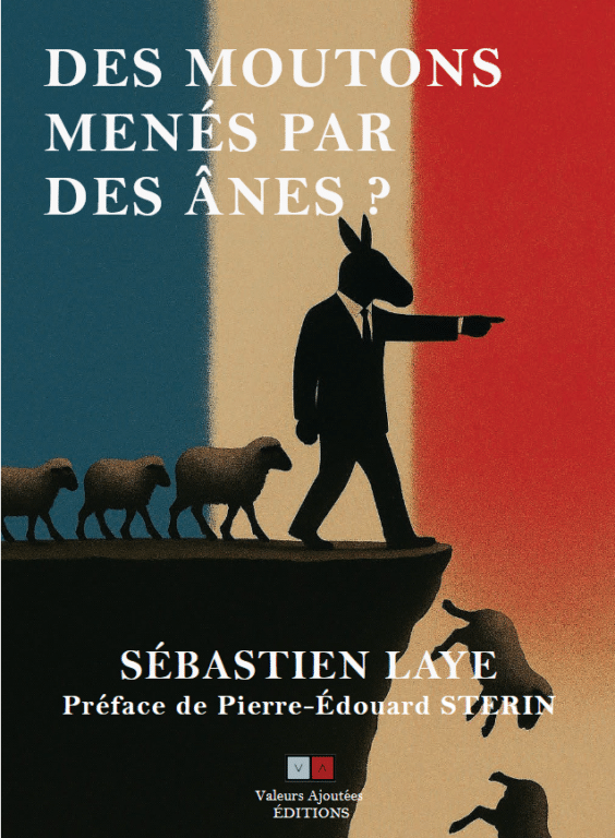 Des Moutons ânes Sebastien Laye