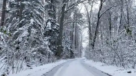 Le froid va-t-il vraiment frapper la France fin janvier ? Les prévisions qui sèment le doute