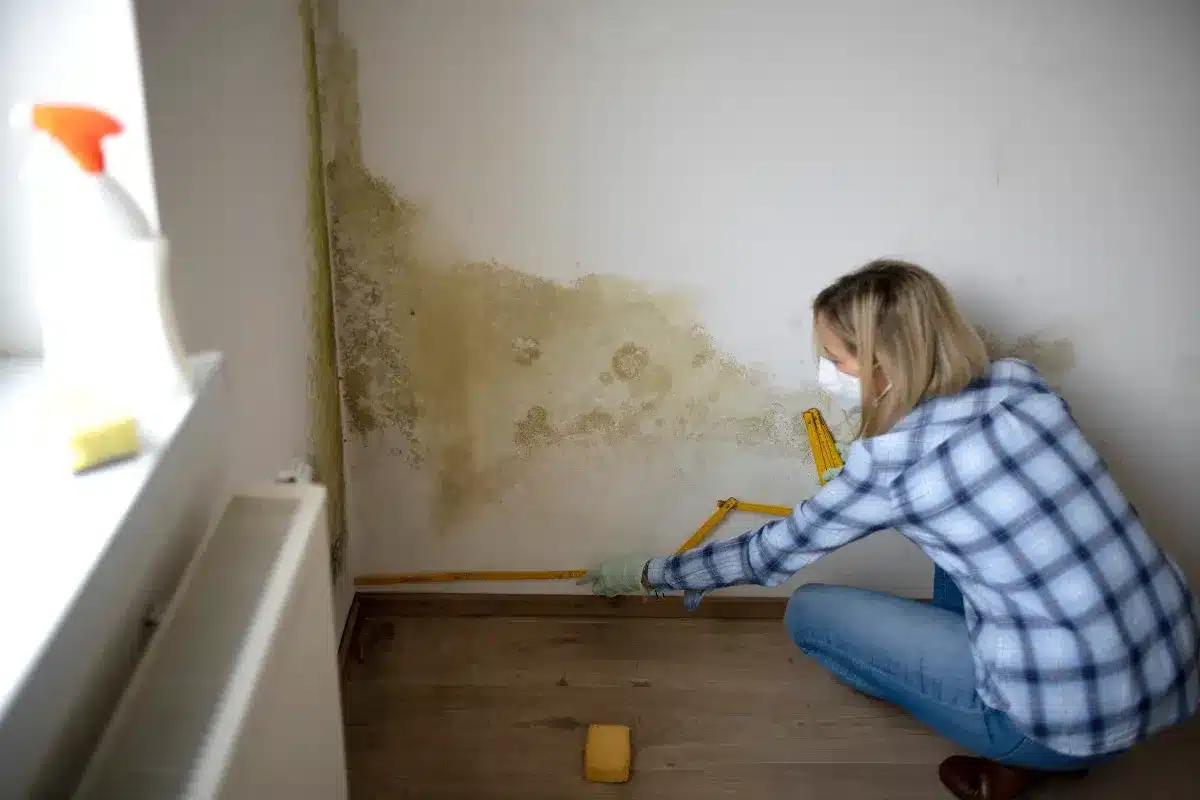 Logement insalubre : elle retourne la situation et fait plier son propriétaire