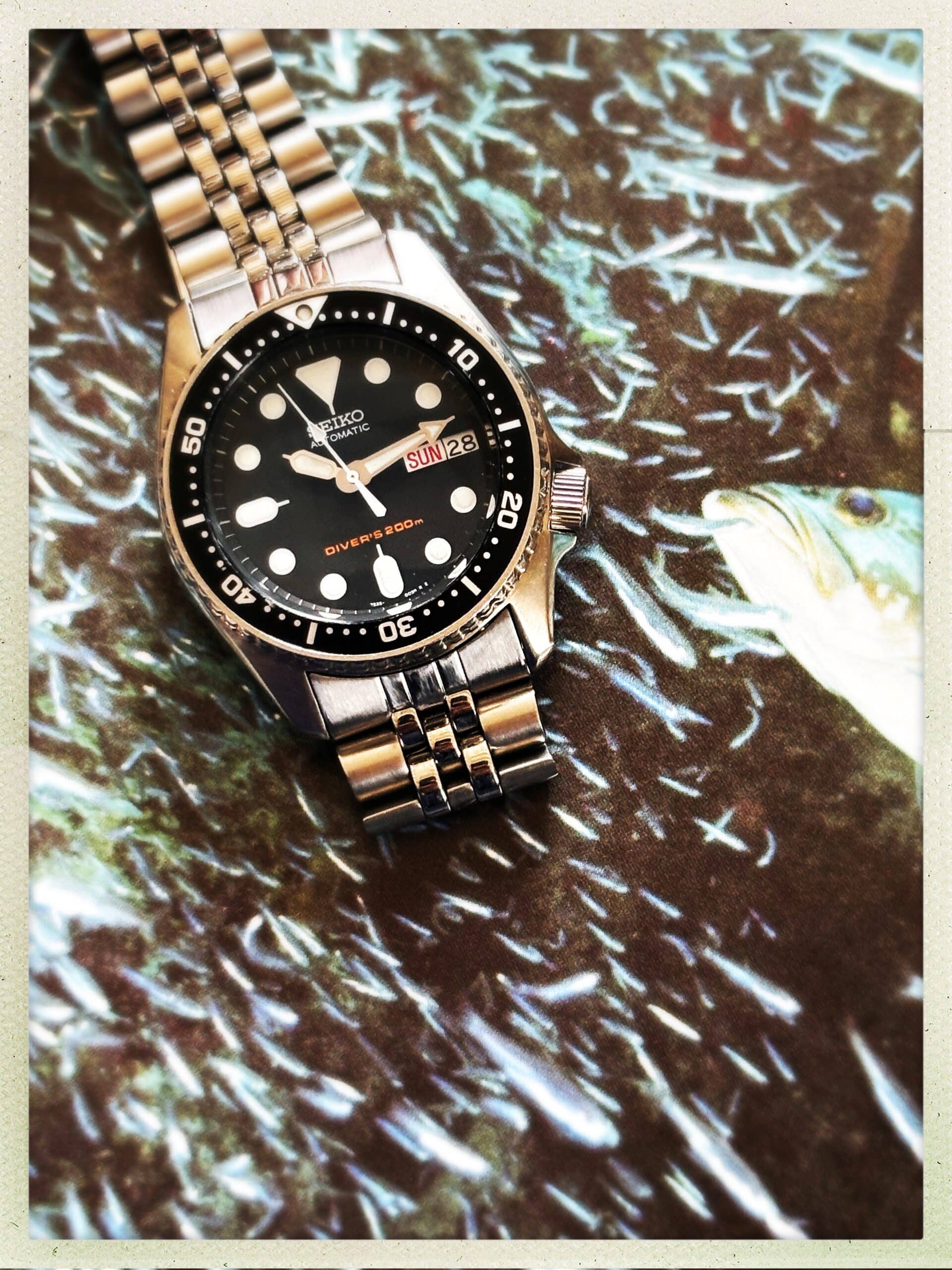 Skx