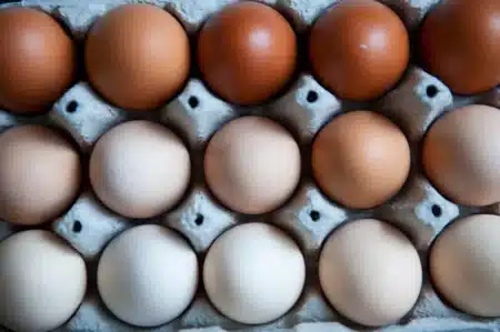 Peu de gens le savent, mais la couleur de la coquille d'un œuf dépend d'un seul détail sur la poule : les éleveurs confirment