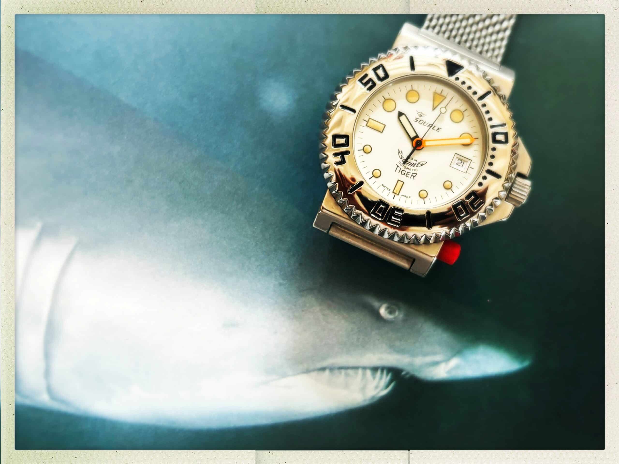 Squale