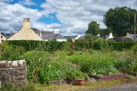 Il entretient ce potager pendant des années… et devient légalement propriétaire du terrain