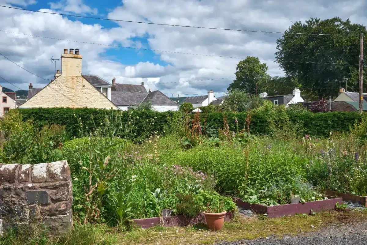 Il entretient ce potager pendant des années… et devient légalement propriétaire du terrain