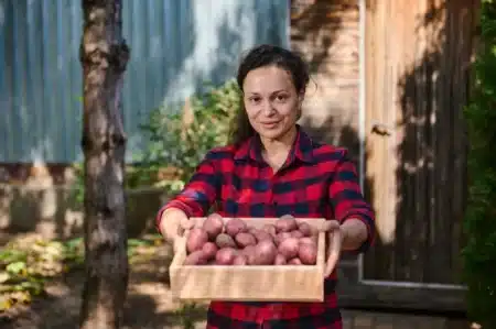 Oubliez le réfrigérateur : ce geste au moment du rangement empêche vos pommes de terre de germer pendant des semaines