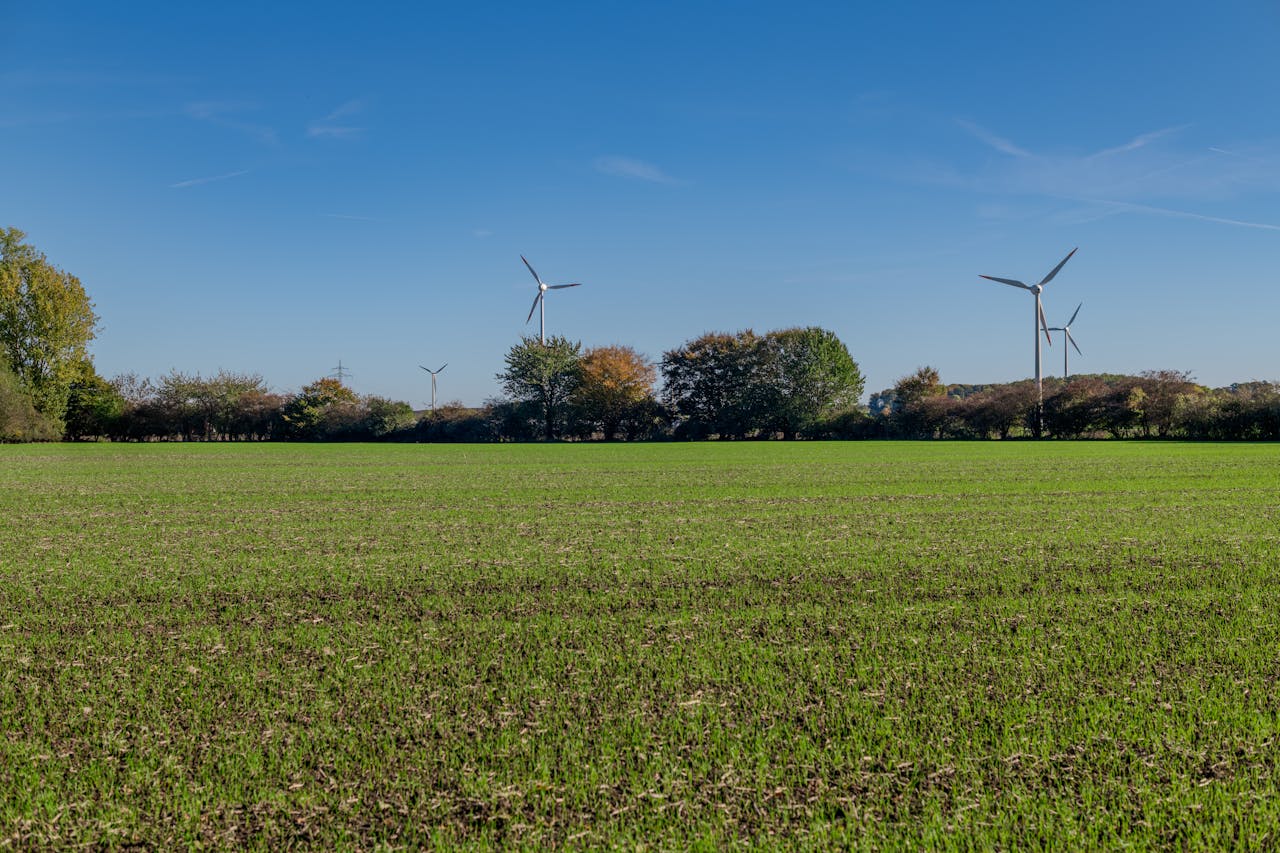 La Neutralite Carbone Passera Par Ces 20 Chantiers Selon The Shift Project