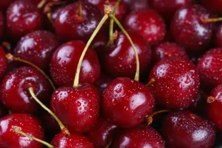 « On ne peut pas les stocker » : 2 000 producteurs de cerises lancent un appel urgent aux Français, et le temps presse