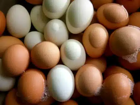 Beaucoup de gens ne le réalisent pas, mais la couleur de la coquille d'oeuf dépend d'un seul détail sur la poule