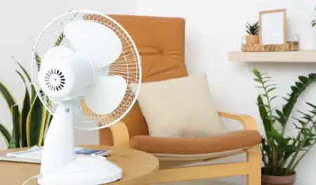 Pourquoi les rayons de ventilateurs sont vides alors que la canicule n'a même pas encore atteint son pic