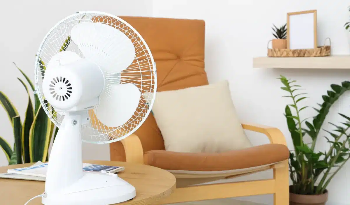 Pourquoi les rayons de ventilateurs sont vides alors que la canicule n'a même pas encore atteint son pic