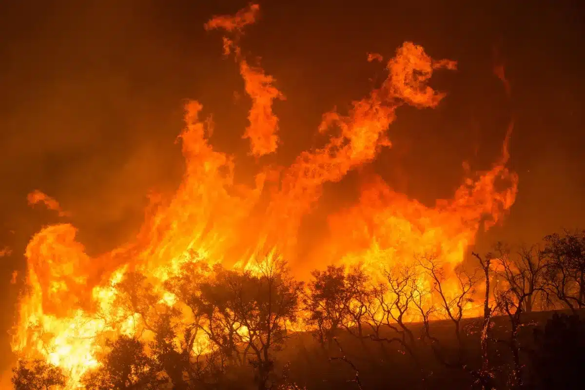 Mauvaise nouvelle pour les vacanciers du Sud-Ouest : votre assurance ne couvre probablement pas ce que vous croyez en cas d'incendie