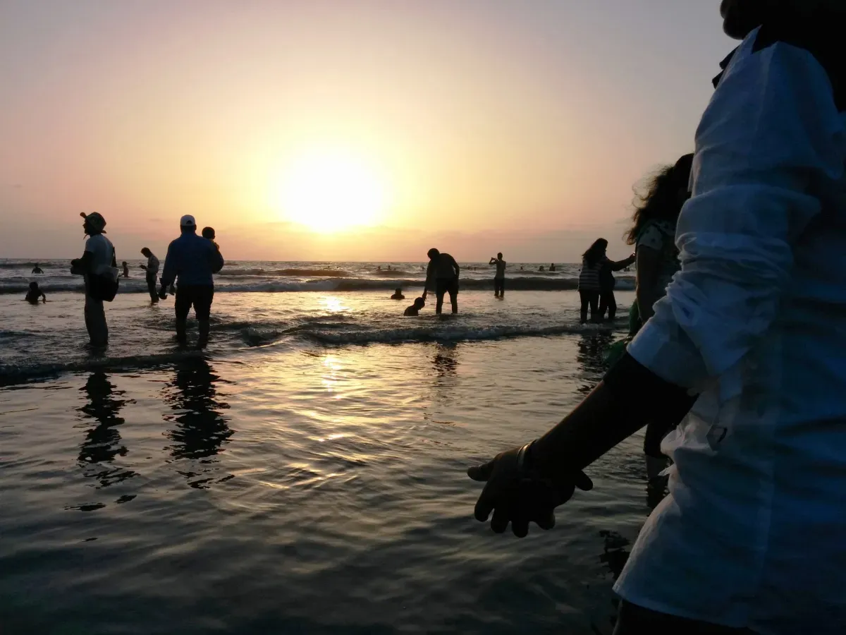 Canicule : seuls 6 départements du Sud-Est restent en vigilance orange, le reste de la France respire enfin après des jours étouffants