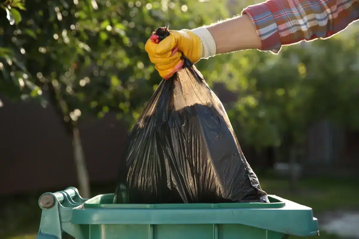 Mauvaise nouvelle pour les propriétaires : sortir vos poubelles trop tôt ou trop tard peut désormais vous coûter 68 €, même devant votre propre porte