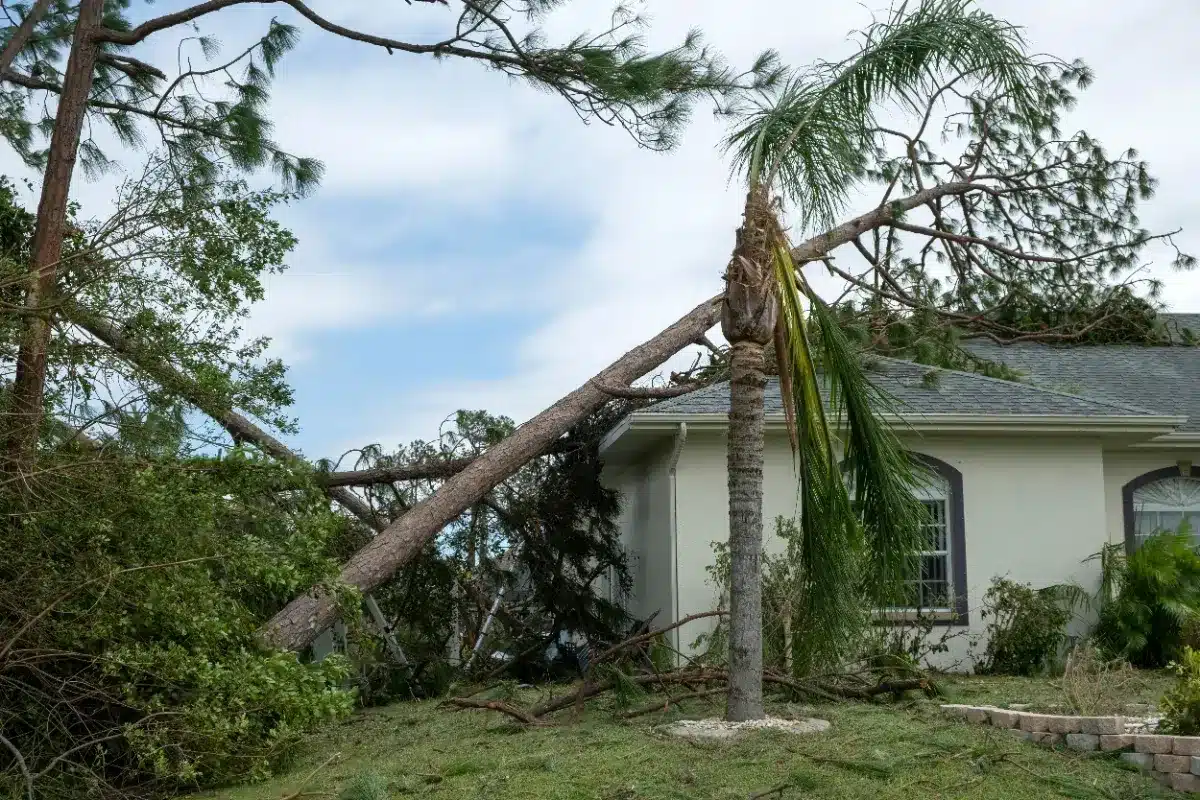 Un couple du Mississippi voit sa demande d'indemnisation habitation de 95 896 $ rejetée suite à des preuves d'expert insuffisantes